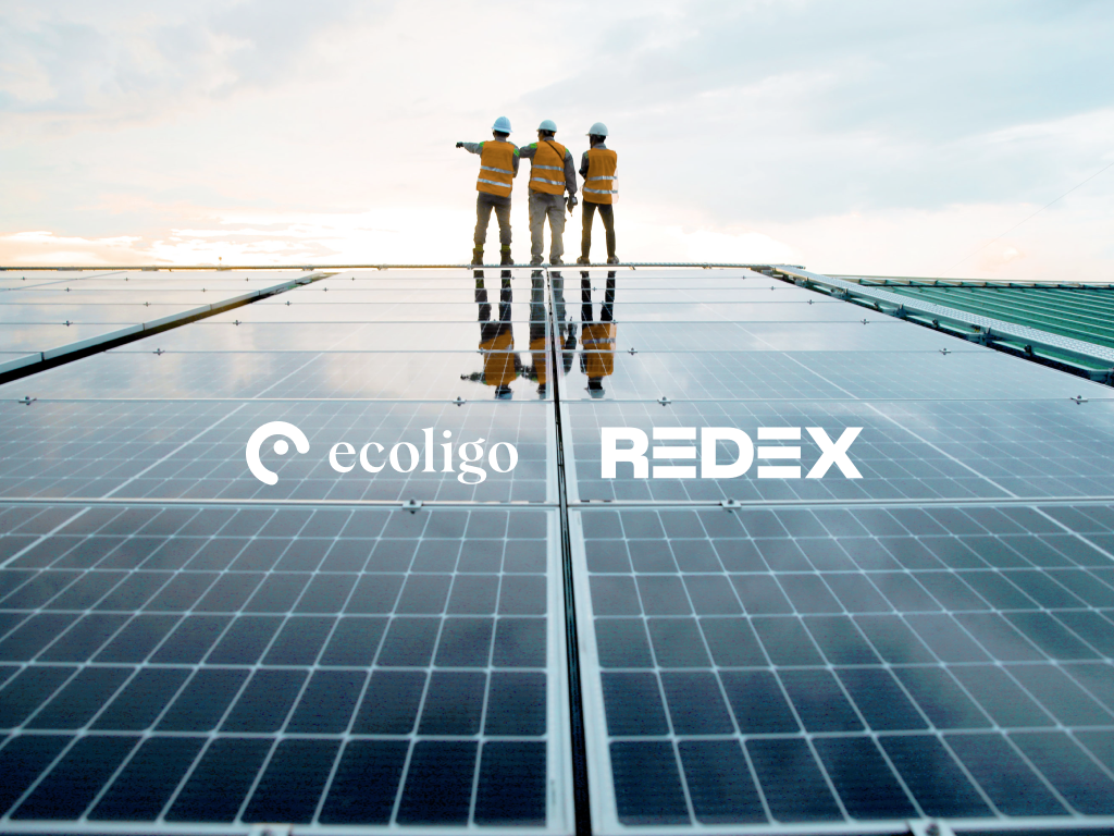 ecoligo beginnt Partnerschaft mit REDEX