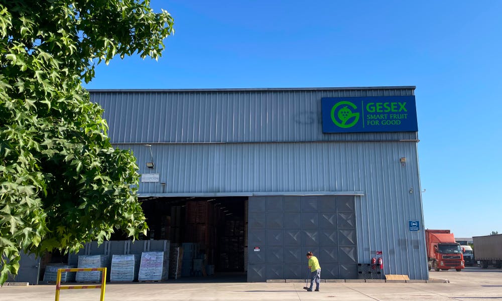 Gesex factory