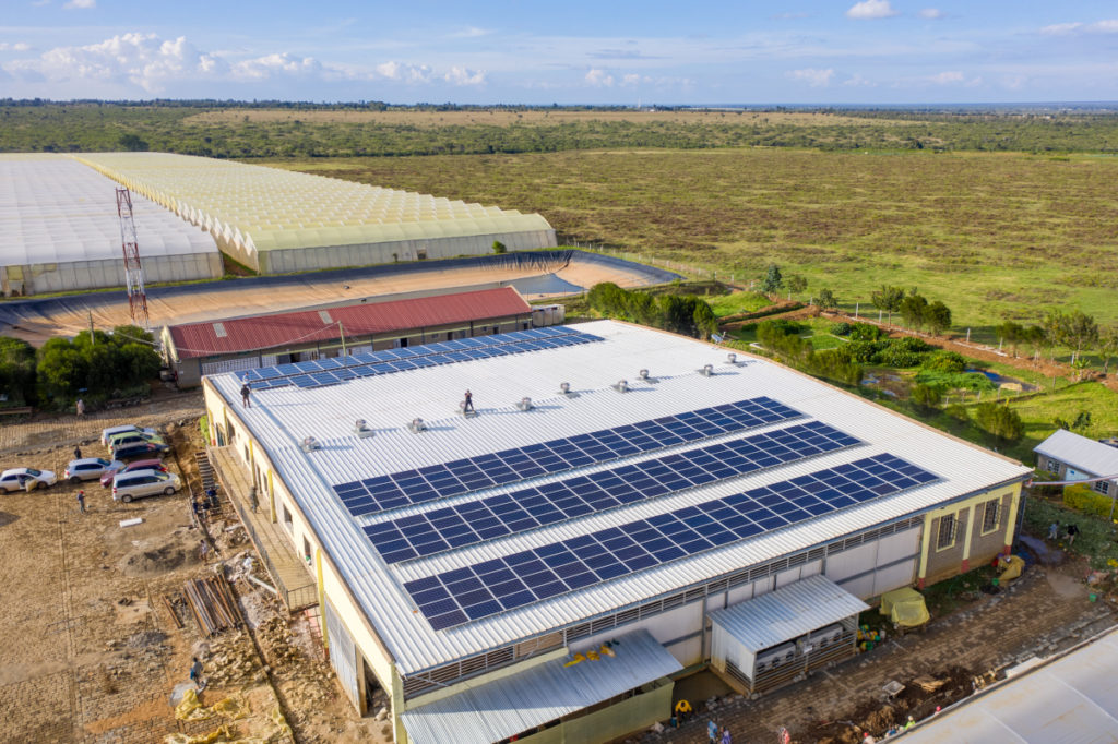 Sistema solar de 100 kWp en Credible Blooms, Kenia.
