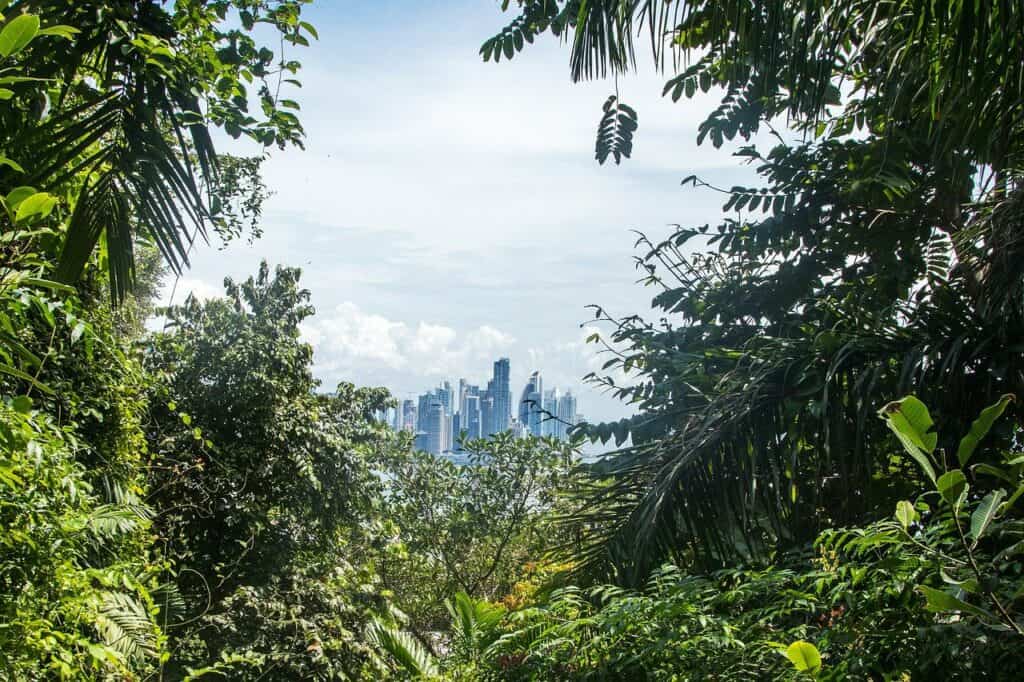 Quang cảnh thành phố Panama